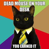 Business Cat Meme - Dead Mouse