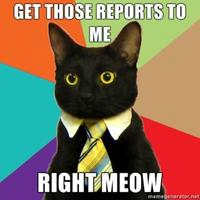 Business Cat Meme - Right Meow
