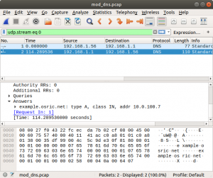 Screenshot of Wireshark showing 2 DNS packets