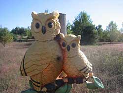 Owl sign at Hoot Owl Manor's entrance